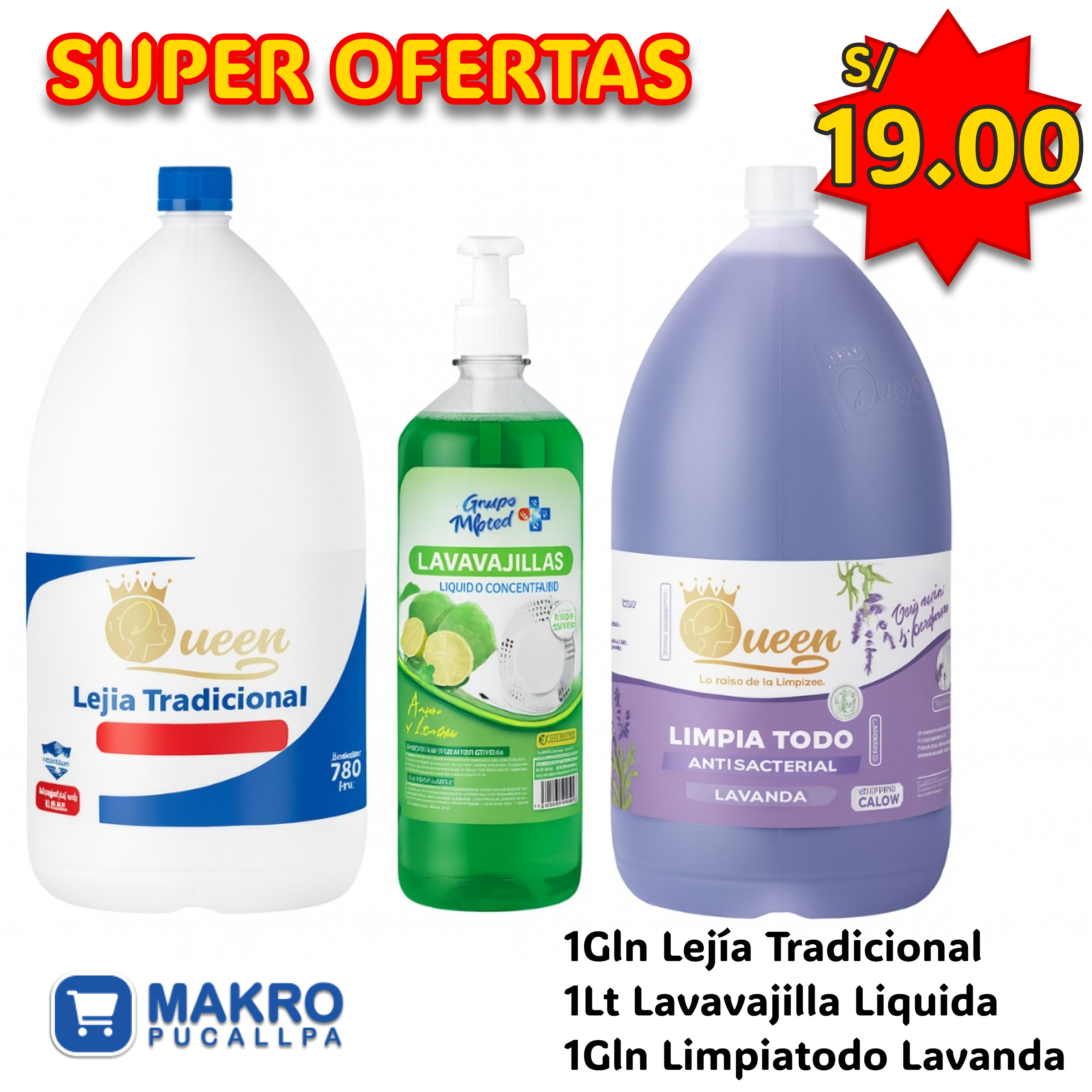OFERTA LIMPIADORA 01