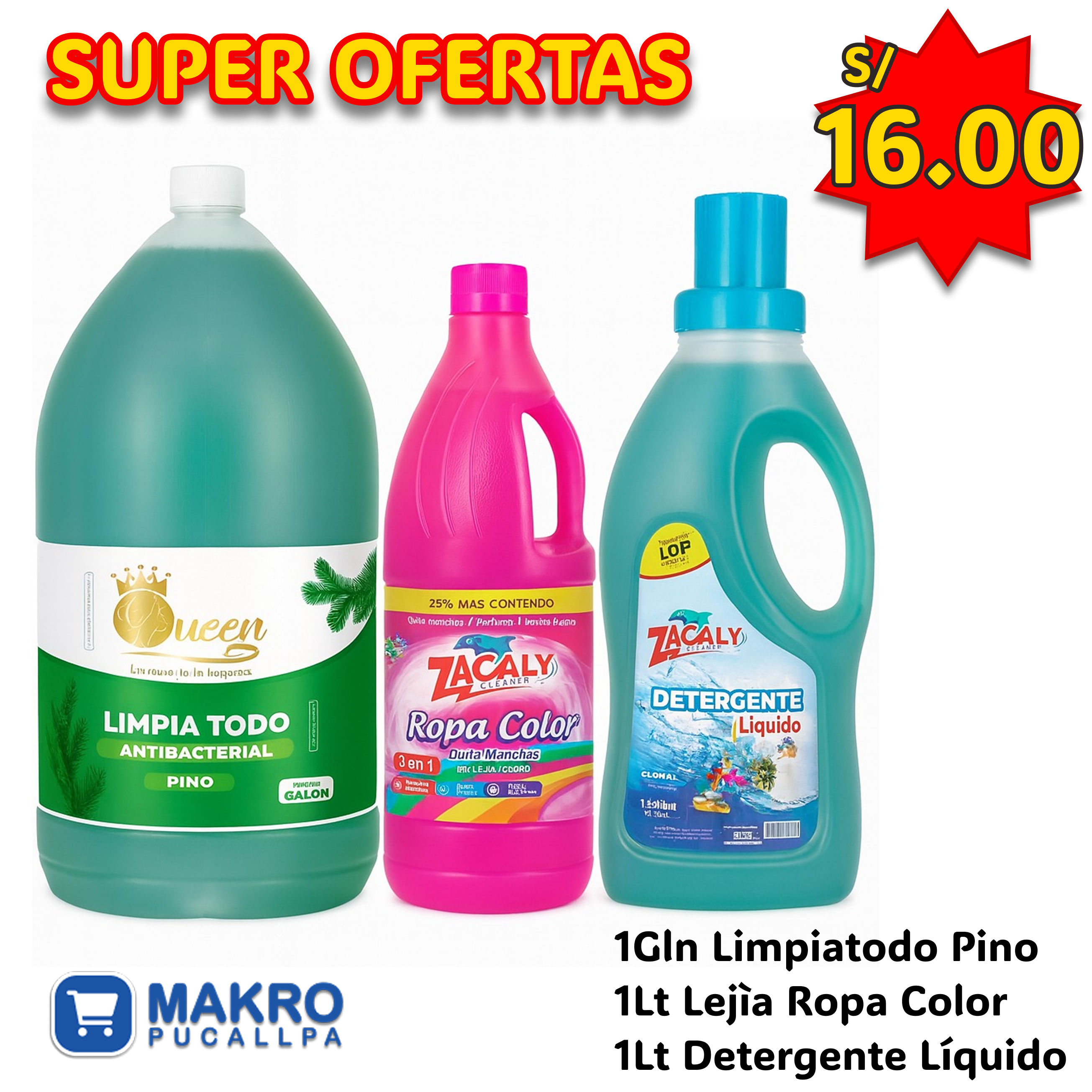 OFERTA LIMPIADORA 02