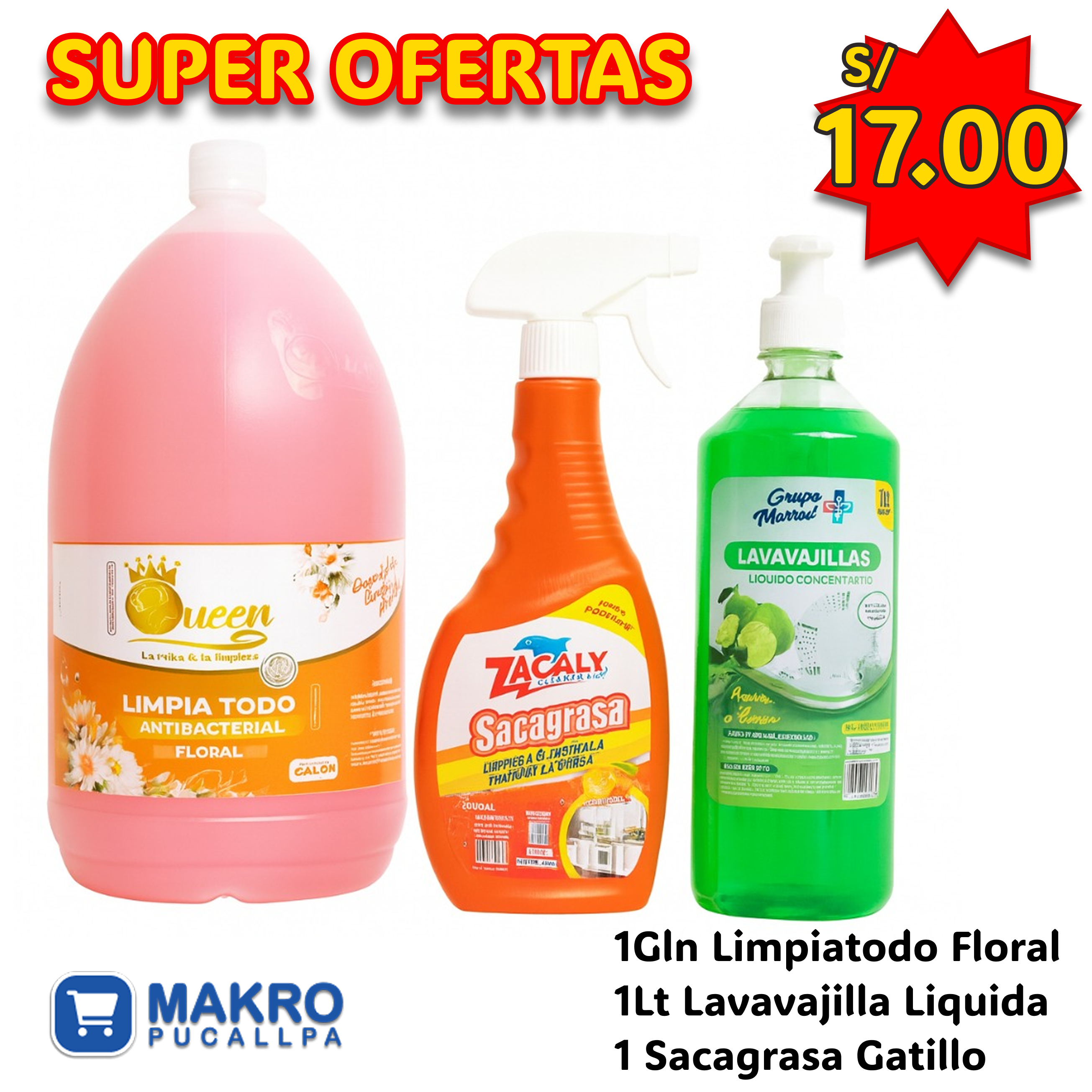 OFERTA LIMPIADORA 03